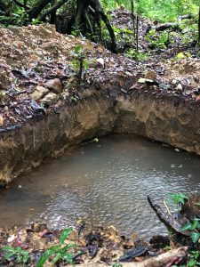 Eroded soil embankment with exposed tree roots and rocks in a forest area, Sierra Leone