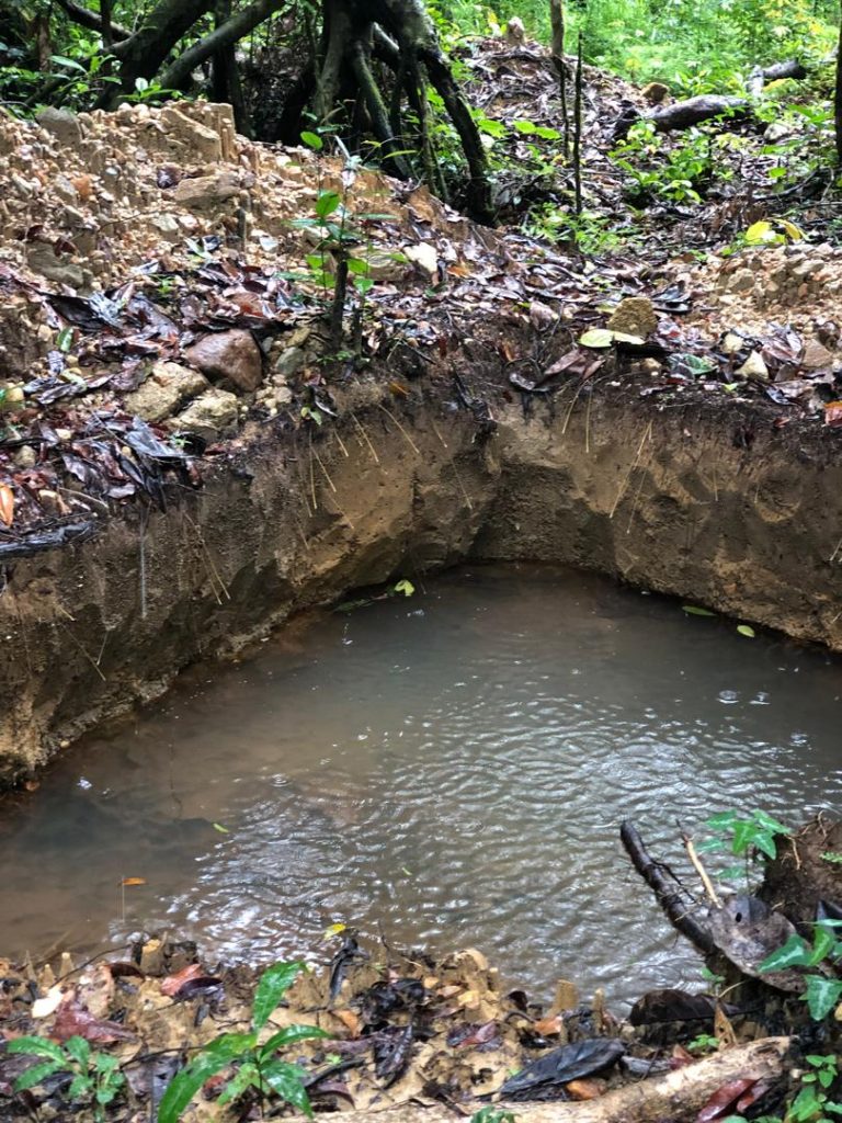 Eroded soil embankment with exposed tree roots and rocks in a forest area, Sierra Leone