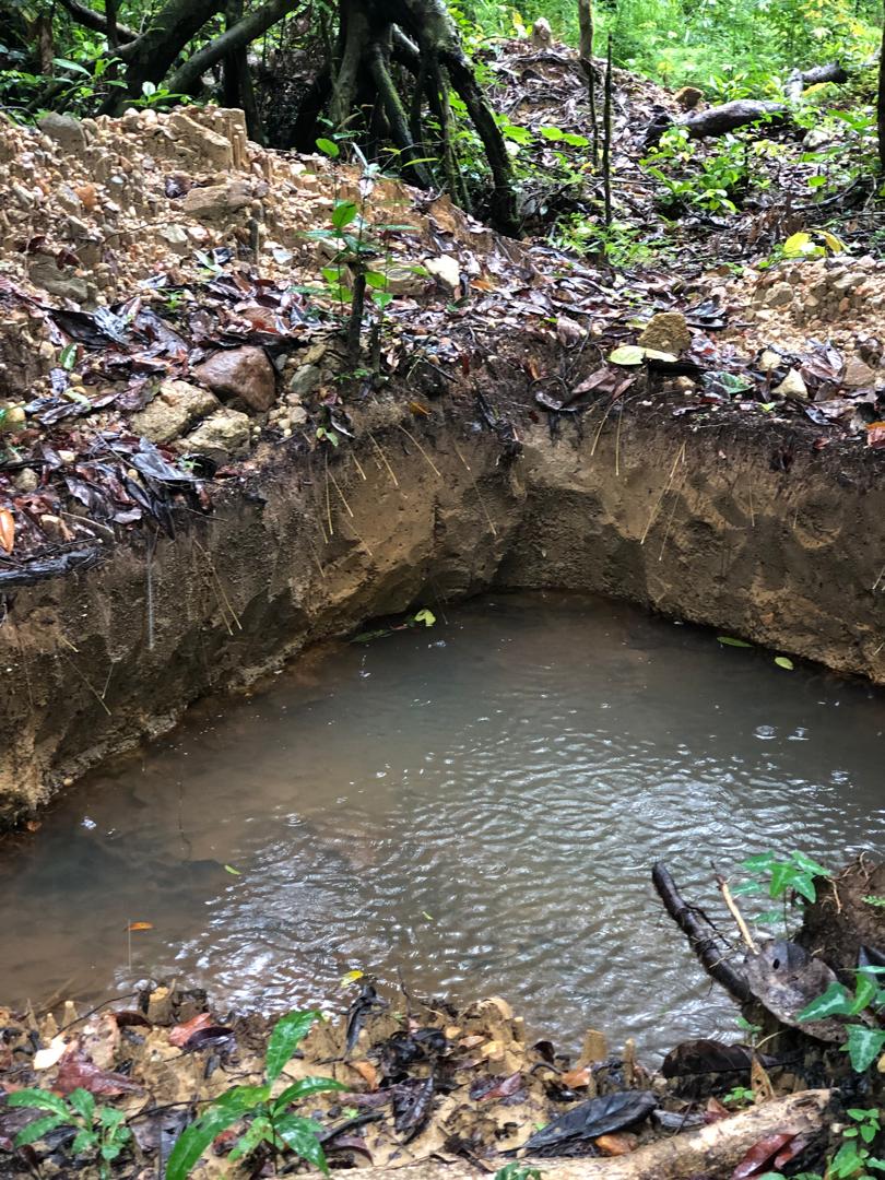 Eroded soil embankment with exposed tree roots and rocks in a forest area, Sierra Leone