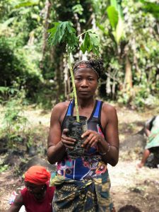 A woman wearing a patterned headwrap and blue tank top holds a tall young tree sapling growing in a black planting bag, standing in front of dense green forest and banana plants.