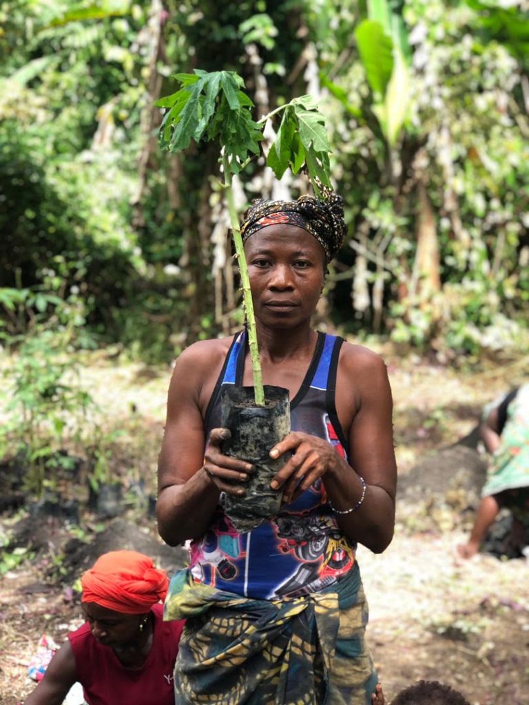 A woman wearing a patterned headwrap and blue tank top holds a tall young tree sapling growing in a black planting bag, standing in front of dense green forest and banana plants.