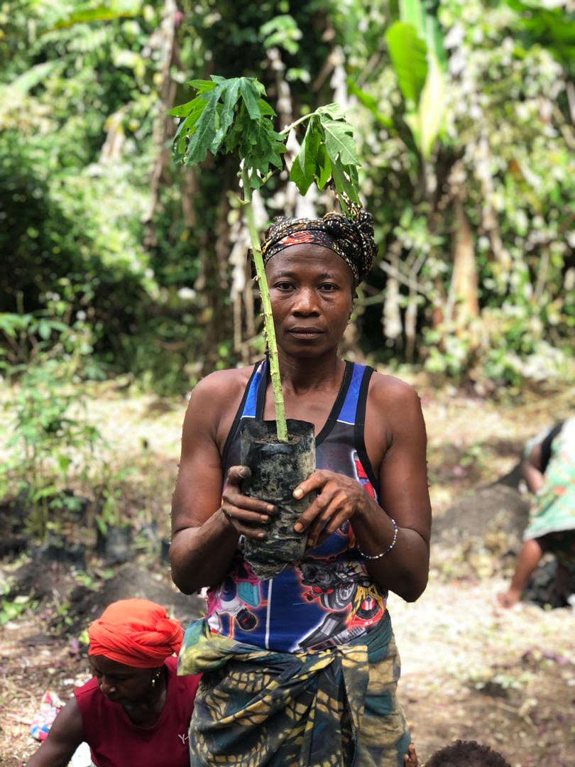 A woman wearing a patterned headwrap and blue tank top holds a tall young tree sapling growing in a black planting bag, standing in front of dense green forest and banana plants.