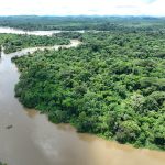 An aerial view of a muddy-brown river branching through vast, dense green tropical rainforest, with distant hills visible on the horizon under a hazy sky.