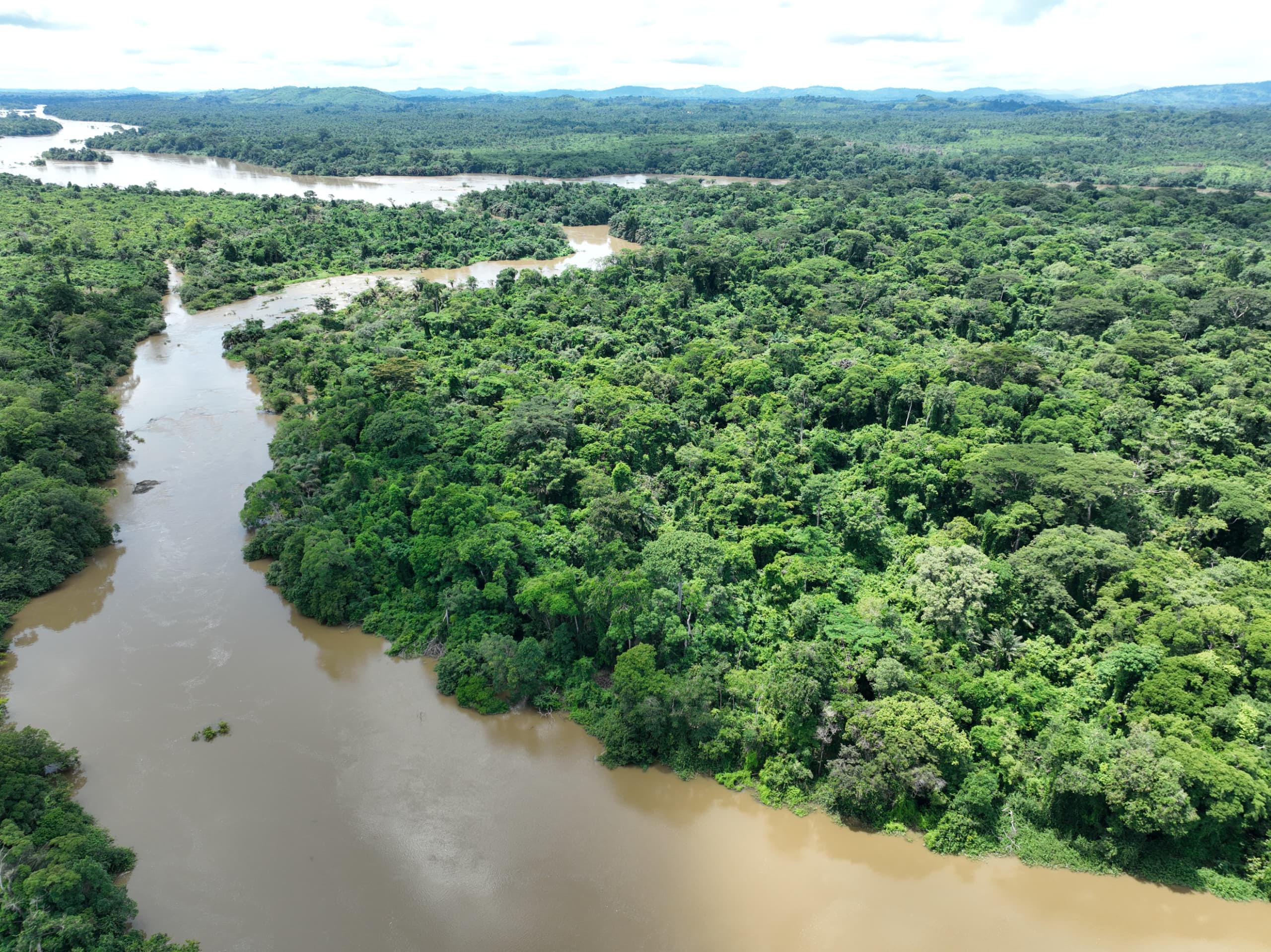 An aerial view of a muddy-brown river branching through vast, dense green tropical rainforest, with distant hills visible on the horizon under a hazy sky.