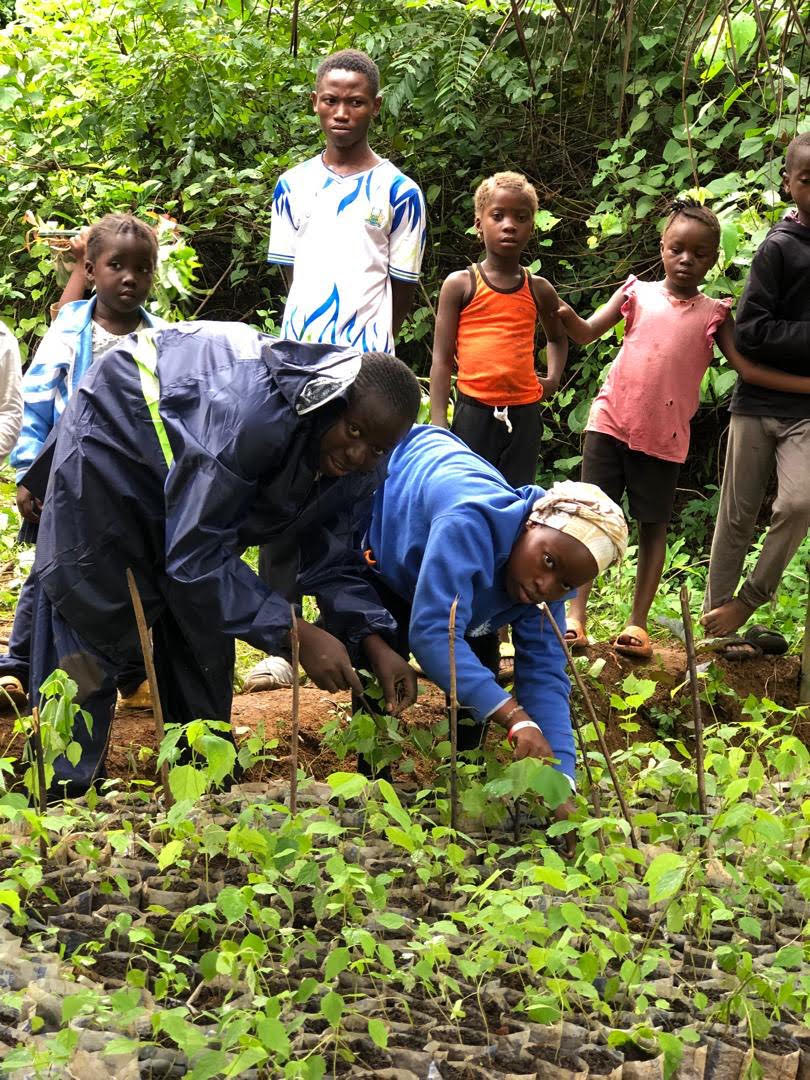 Tree planting program