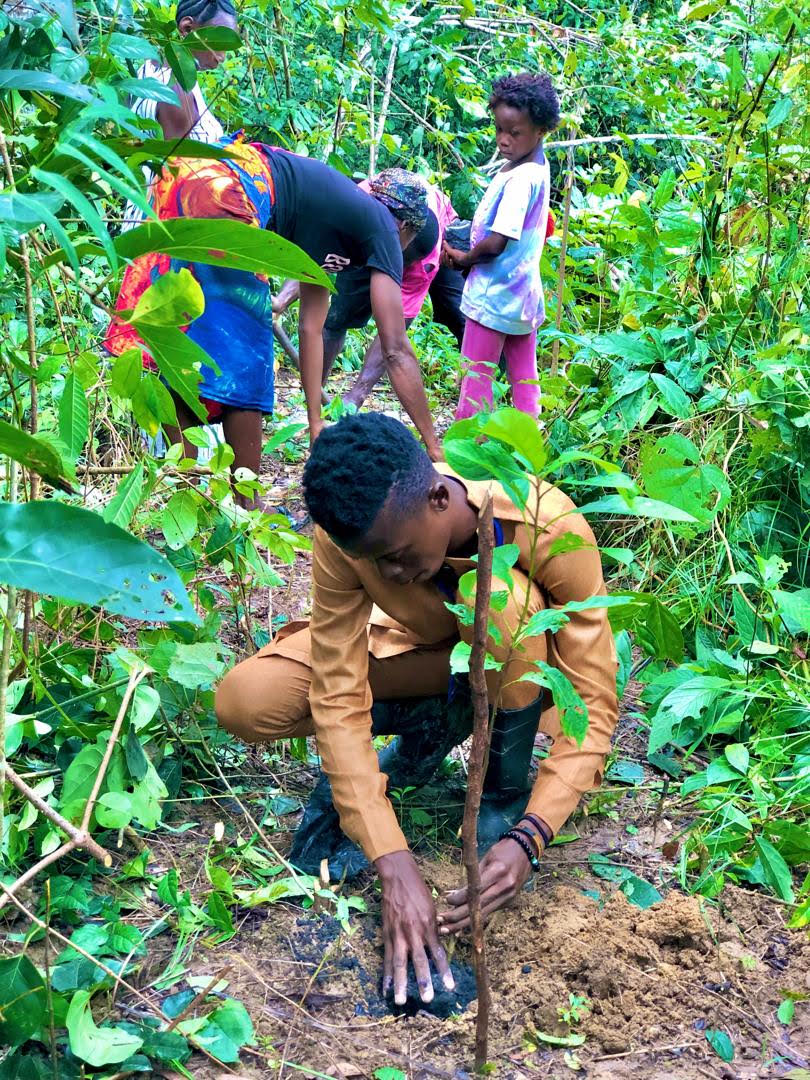 Tree nursery site